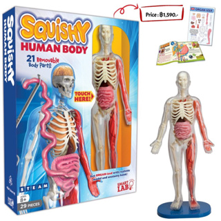 Smart Lab Toys Squishy Human Body Science Set for Children