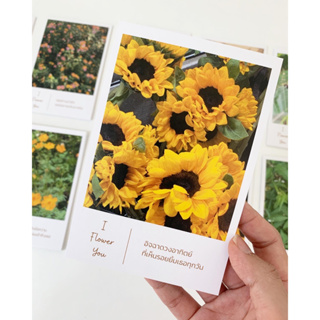 Postcard : I Flower You (โปสการ์ดดอกไม้ 10 ภาพ/เซ็ต)