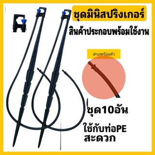 ชุดมินิสปริงเกอร์ ชุด10อัน