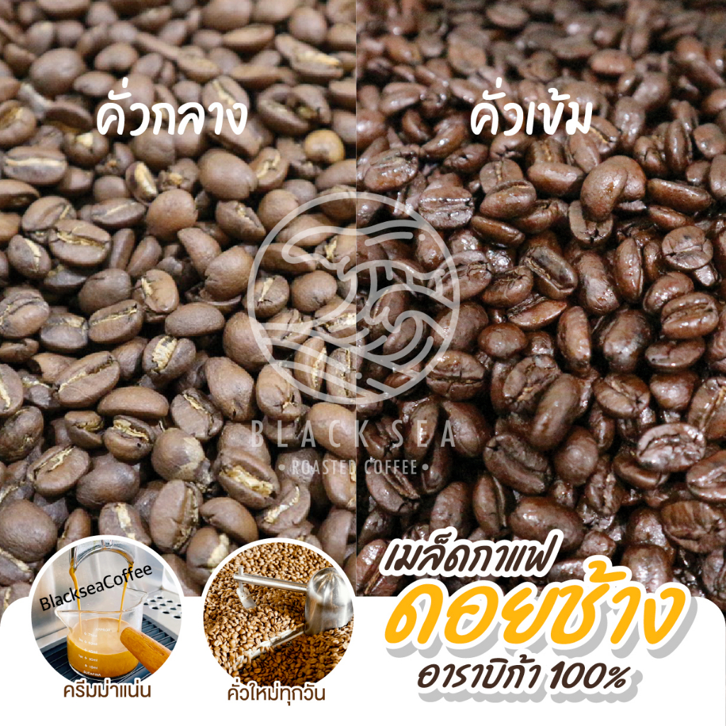 เมล็ดกาแฟคั่ว-black-sea-อาราบิก้า100-size-a-ขนาด-250g