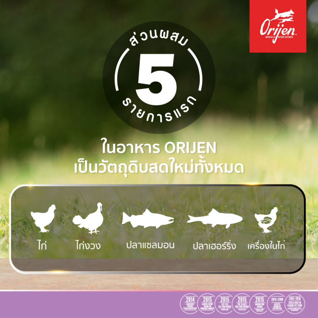 แบ่งขาย-orijen-อาหารแมว-สูตร-kitten-สำหรับ-ลูกแมว-2เดือนขึ้นไป-และแม่มวตั้งท้องให้นม-a4