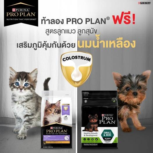 แบ่งขาย-proplan-อาหารแมว-ครบทุกสูตร-สูตรลูกแมว-และแมวโต-ทุกสายพันธุ์-มีสินค้าพร้อมส่งค่ะ