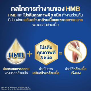 ภาพขนาดย่อของภาพหน้าปกสินค้าEnsure Gold เอนชัวร์โกลด์ 400 g 3 กระป๋อง แถมแก้วเชค Ensure gold วนิลา กาแฟ ธัญพืช สตอเบอร์รี่ ชอคโกแลต จากร้าน actyth บน Shopee ภาพที่ 1