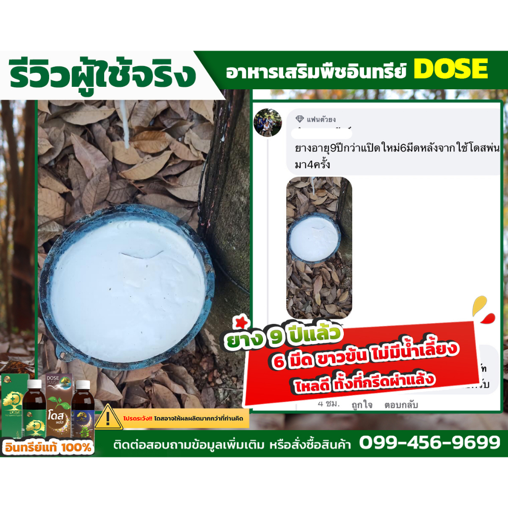 dose-โดส-ฮอร์โมนพืช-อาหารเสริมพืช-เร่งผลผลิต-เร่งใบ-เร่งต้น-เร่งดอก-เร่งนํ้ายาง-เร่งโต-โตไว-ใบเขียว-เพิ่มผลผลิต