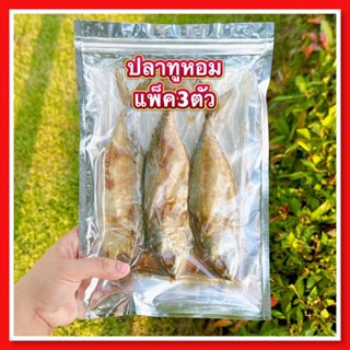 ปลาทูหอมไซส์ใหญ่🐟แพ็ค​2-5ตัวสูญญากาศ​อย่างดี