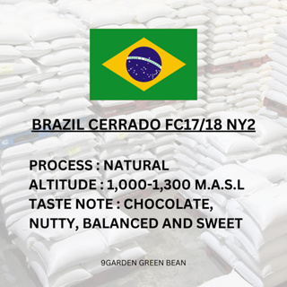 สารกาแฟ Brazil Cerrado FC17/18 NY2