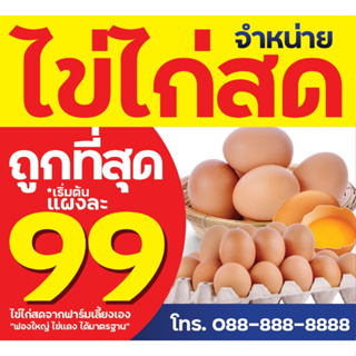 ป้ายใหญ่ ป้ายไวนิลไข่ไก่ ป้ายไวนิลไข่ไก่สด ฟาร์มไก่ ไก่ ฟรีออกแบบ พับเจาะตาไก่ ใช้ไวนิลเงาอย่างดี ส่งแบบก่อนผลิต ส่งไว