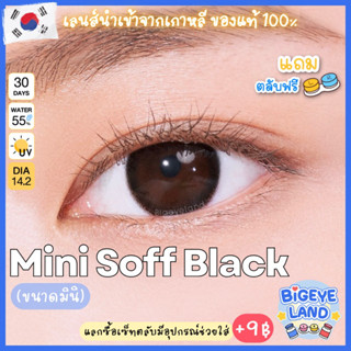 คอนแทคเลนส์ Mini Soff Black (Kitty Kawaii) ขนาดมินิ 🌷เนียน ธรรมชาติ คอนแทคเลนส์สีดำ