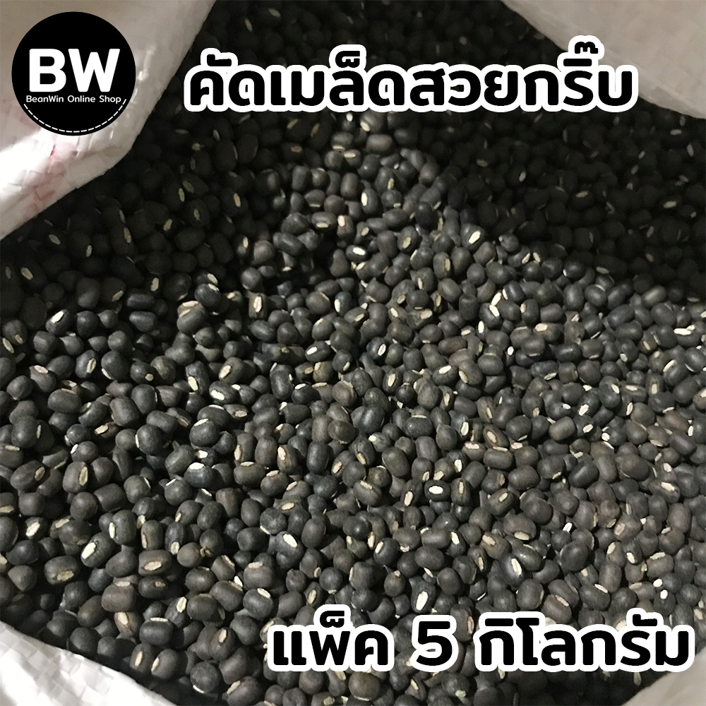 beanwin-ถั่วแขกพม่าผิวดำ-สำหรับเพาะถั่วงอก-แพ็ค-5-กก-อัตรางอกดี-ถั่วงอก-ถั่วเขียว-ถั่วแขก