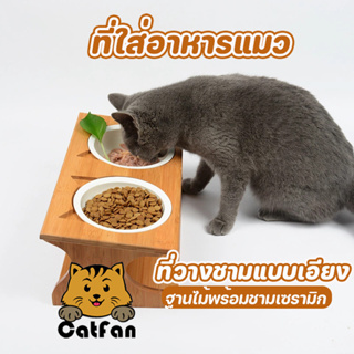 CatFan😺 พร้อมส่ง ถาดอาหารแมวฐานไม้  ชามเซรามิก 2และ3ช่อง ไร้สารตกค้างทำความสะอาดง่าย