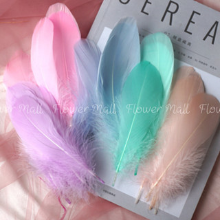 ขนห่านย้อมสี จำนวน 10 ชิ้น   ขนาด 12-18 cm. ขนห่านจริงย้อมสี พร้อมส่ง