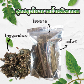 ใบหนาด ชุดสมุนไพรอาบน้ำหลังคลอด [1ชุด มี 10 กำ] Organic Natural