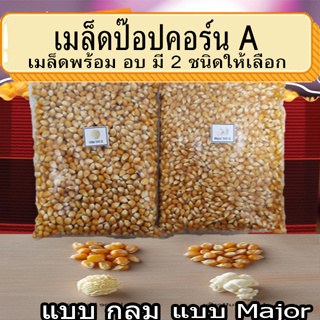 ภาพหน้าปกสินค้าเมล็ดข้าวโพด เมล็ดป๊อปคอร์น มี 2 พันธุ์ ให้เลือก เม็ดข้าวโพดป๊อปคอร์น เมล็ดข้าวโพด เมล็ดข้าวโพดป๊อปคอร์น ผงเขย่า ซึ่งคุณอาจชอบราคาและรีวิวของสินค้านี้