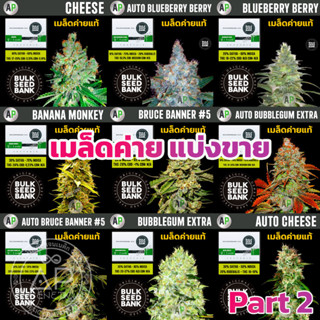 เมล็ดพันธุ์กัญชา ออโต้ โฟโต้ เมล็ดค่าย Bulk Seed Bank เพศเมีย THC สูง แท้100% นำเข้าจาก สโลวีเนีย แบ่งขาย Part2