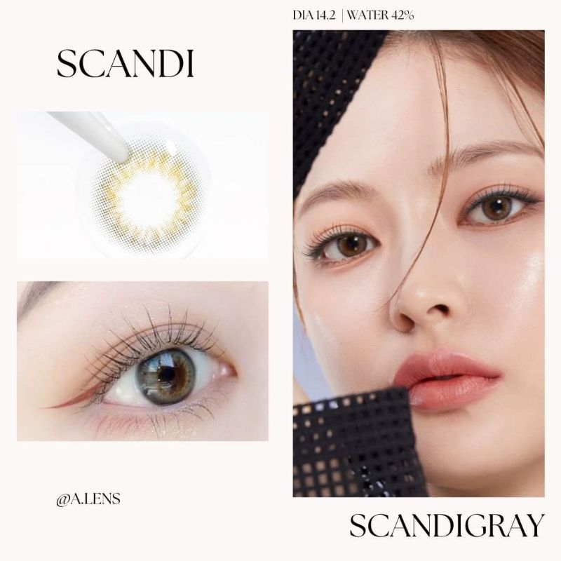 new-scandi-gray-คอนแทคเลนส์รายเดือน