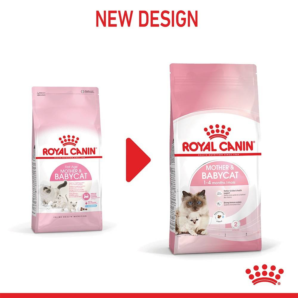 royal-canin-mother-amp-baby-cat-โรยัลคานิน-แม่แมวและลูกแมว-แม่ตั้งท้อง
