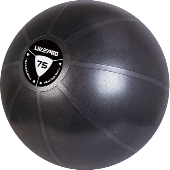 fbt-x-livepro-บอลบริหาร-anti-burst-ขนาด-75-ซม-ls-8201-75-รหัส-67376