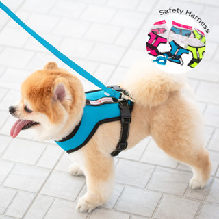 สายจูงสุนัข สายรัดหน้าอกสุนัข Safety Harness