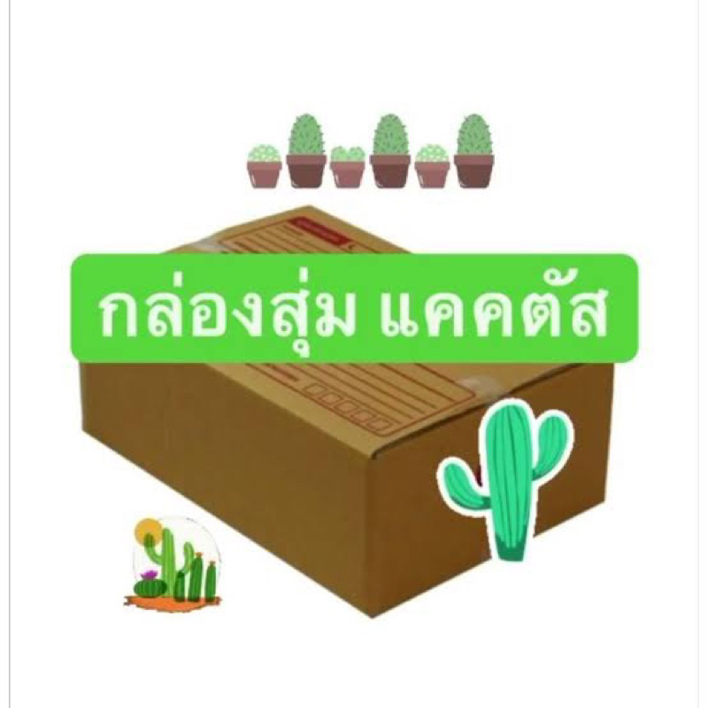 กล่องสุ่ม59ส่งฟรี