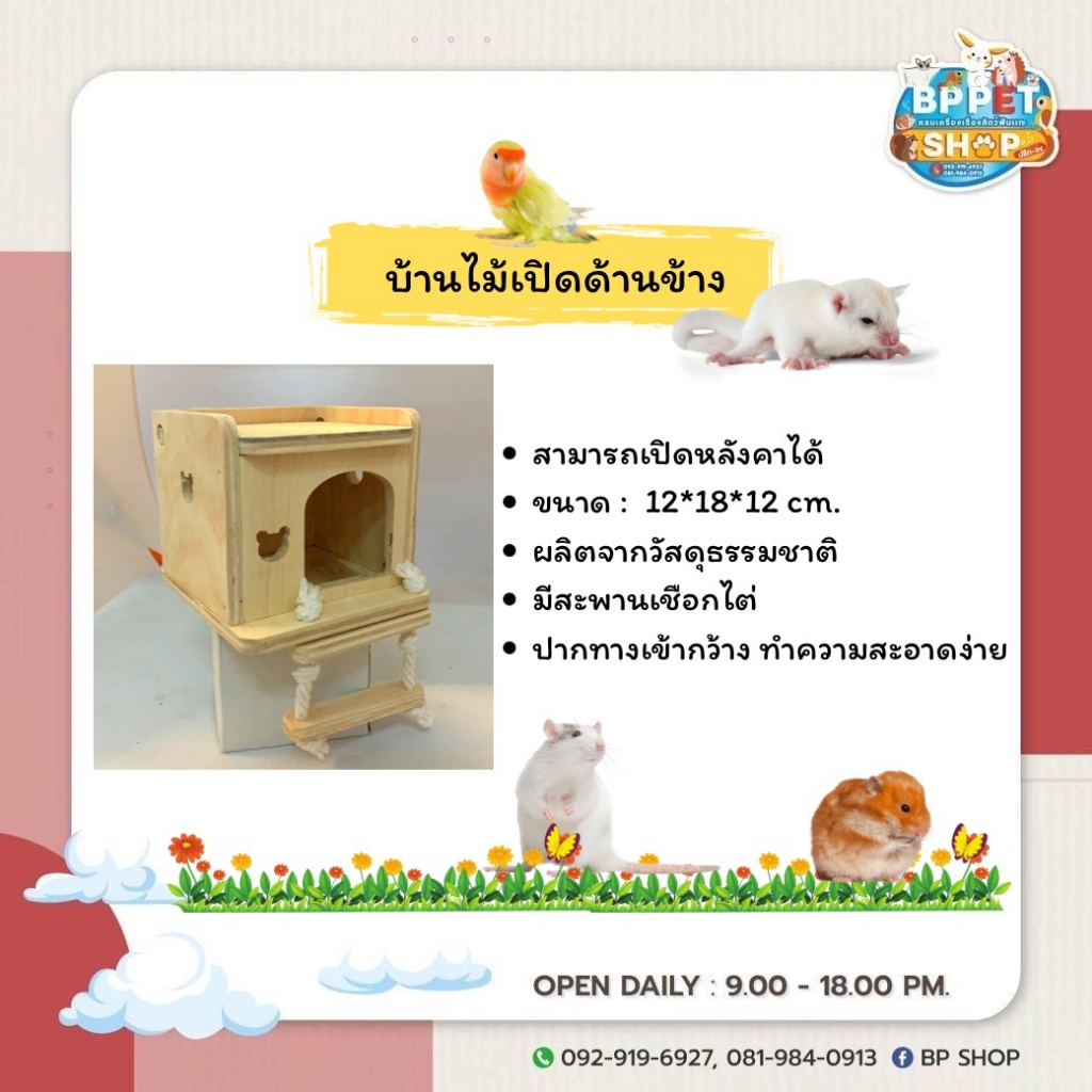 bp-pets-บ้านสัตว์เลี้ยง-บ้านนก-บ้านกระรอก-บ้านชูก้า-รังนอนนก-รังนอนกระรอก-รังนอนชูก้า-บ้านไม้สัตว์เลี้ยง