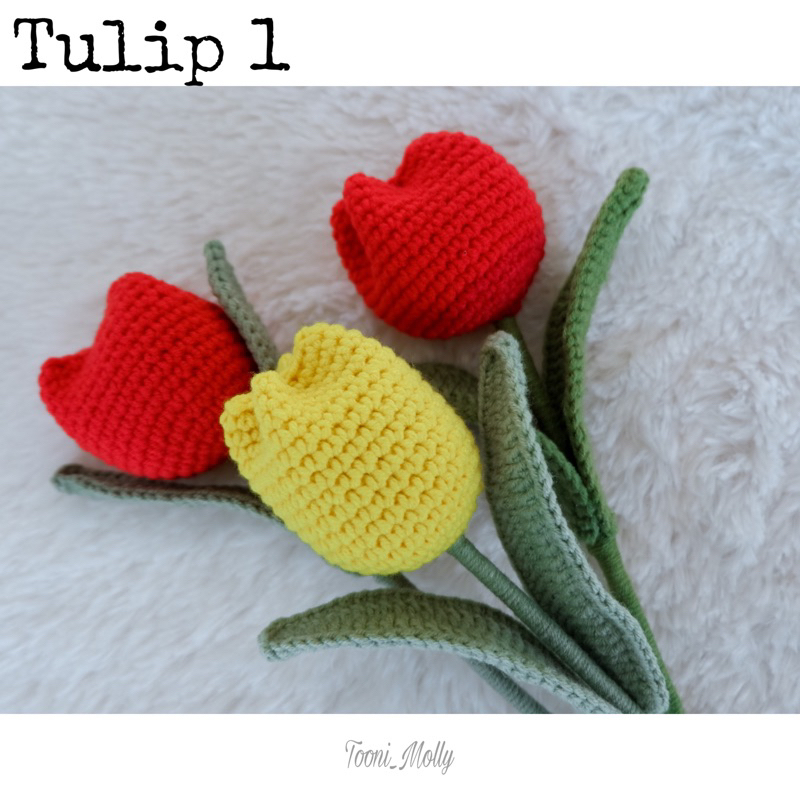 ดอกทิวลิปตูม-tulip-1