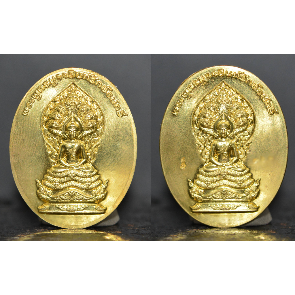 เหรียญพระพุทธมุจจลินทร์รักษ์ธนทวี-เนื้อทองระฆัง-รวมใจ-2-หน้า-2557
