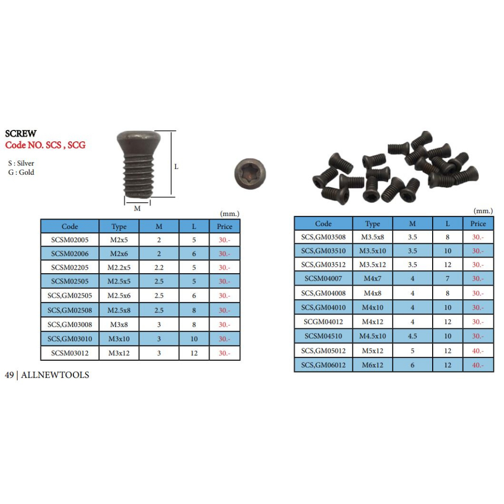 น็อต-สกูรดาว-สกูรยึดมีดกลึง-screw-torx-cutting-tools-สกูรล็อคเม็ดมีด-สีเงิน-สกูรหัวดาว