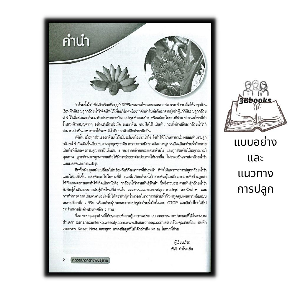 หนังสือ-กล้วยน้ำว้าสายพันธุ์ยักษ์-การเกษตร-พืชและการเกษตร-การปลูกกล้วย-พืชเศรษฐกิจ