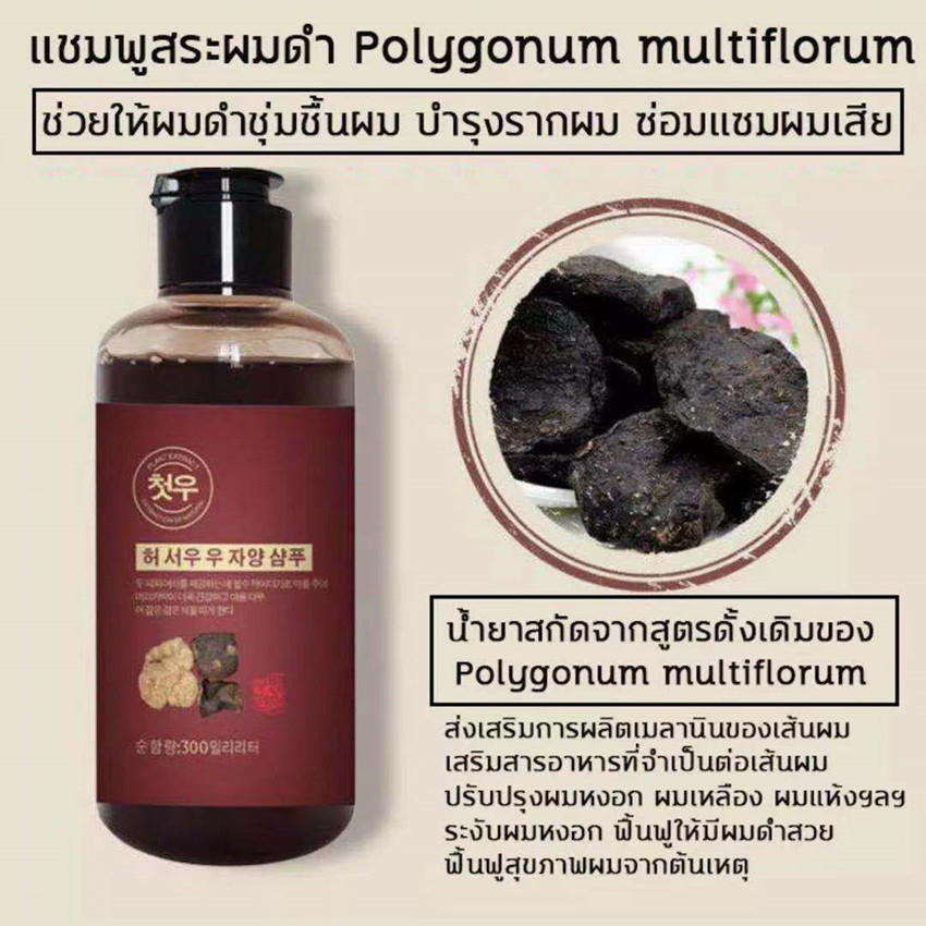 นำเข้าจากเกาหลี-แชมพู-polygonum-multiflorum-ผมขาวเปลี่ยนเป็นผมดำ-แชมพ-แชมพูสมุนไพร-แชมพูชายหญิง-แชมพูแก้ผมหงอก-แชมพูขจัด