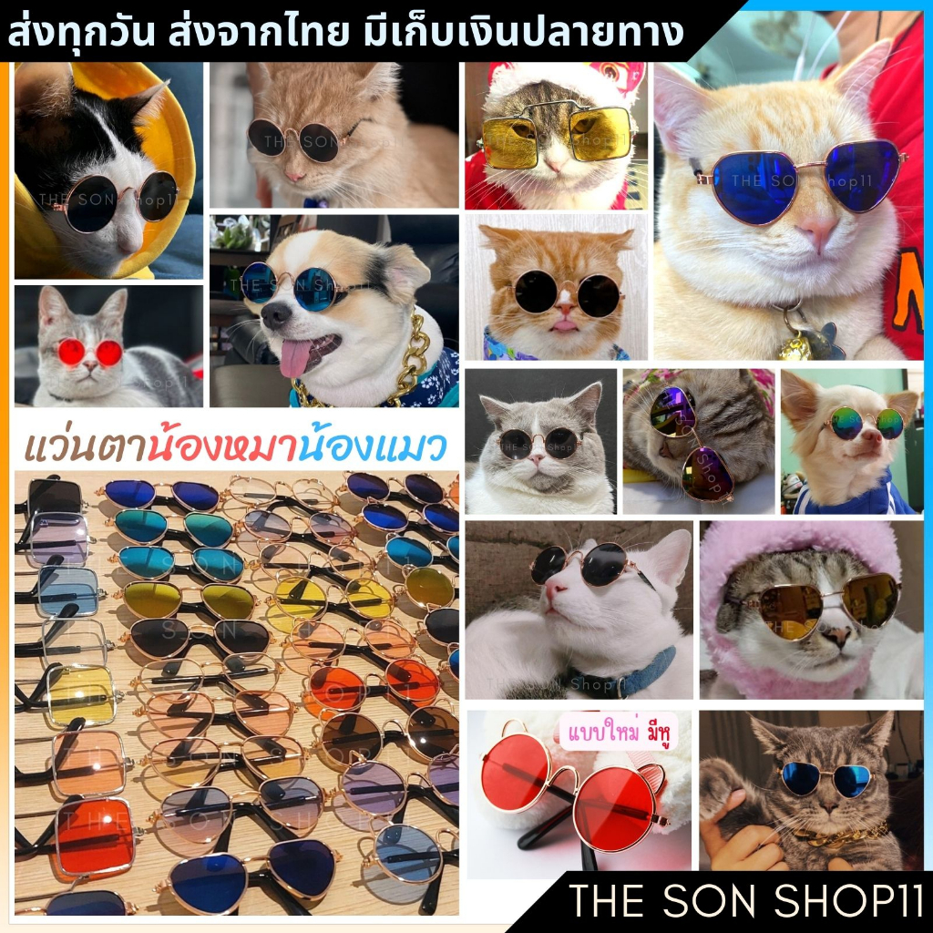ภาพหน้าปกสินค้าแว่นแมว แว่นสุนัขพันธ์เล็ก แว่นตาหมา แว่นตาแมว