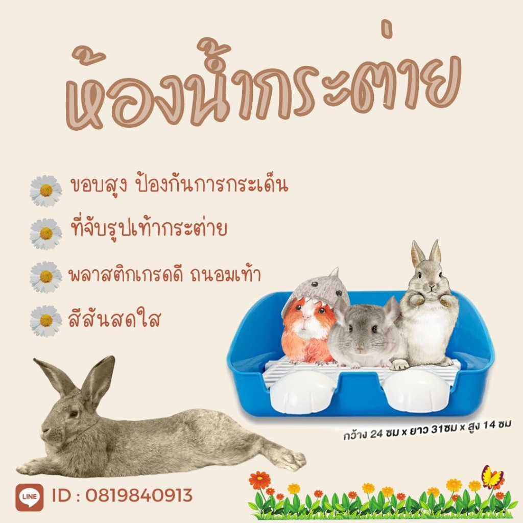 bp-pets-ห้องน้ำกระต่ายขนาดใหญ่-ห้องน้ำกระต่าย-ทำความสะอาดง่าย-สี่เหลี่ยมเท้ากระต่าย-ห้องน้ำกระต่ายไซส์ใหญ่พิเศษ