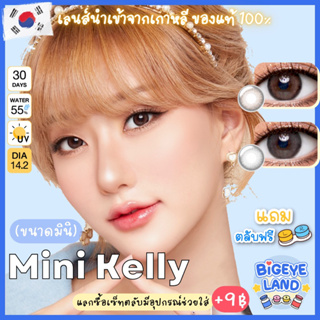 คอนแทคเลนส์ Mini Kelly Brown (Kitty Kawaii) ขนาดมินิ 🌷