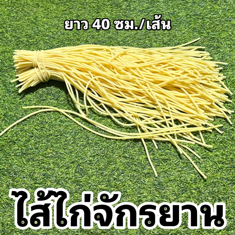 ไส้ไก่จักรยาน-สีเหลือง