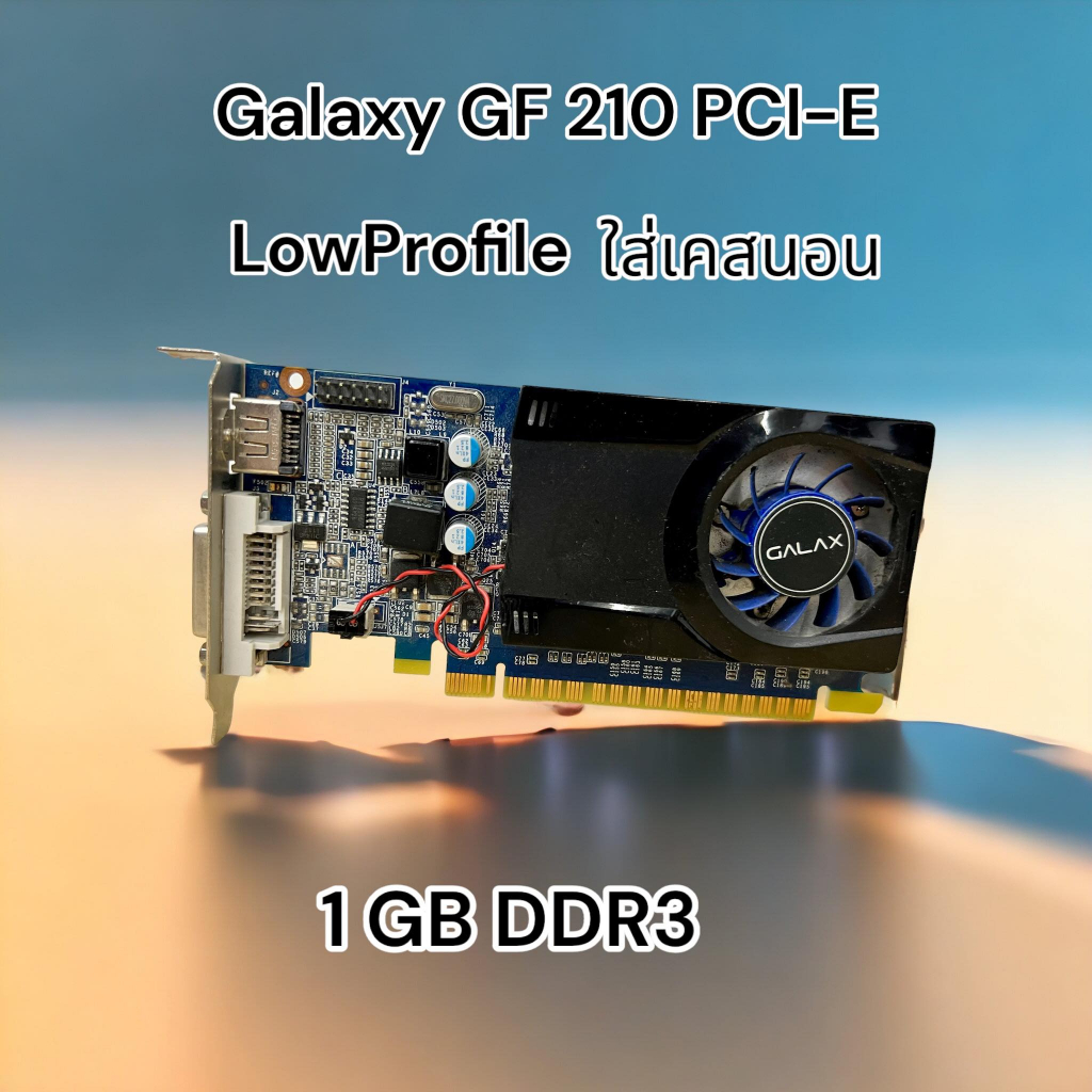 การ์ดจอ Galaxy GF210 PCI-E 1GB DDR3 สวยทุกชิ้น ส่งเร็วทุกรายการ ใส่เคสนอน  low profile ถูกดี | Shopee Thailand