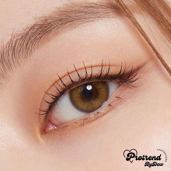 beloved-brown-dia-14-2-protrend-color-contactlens