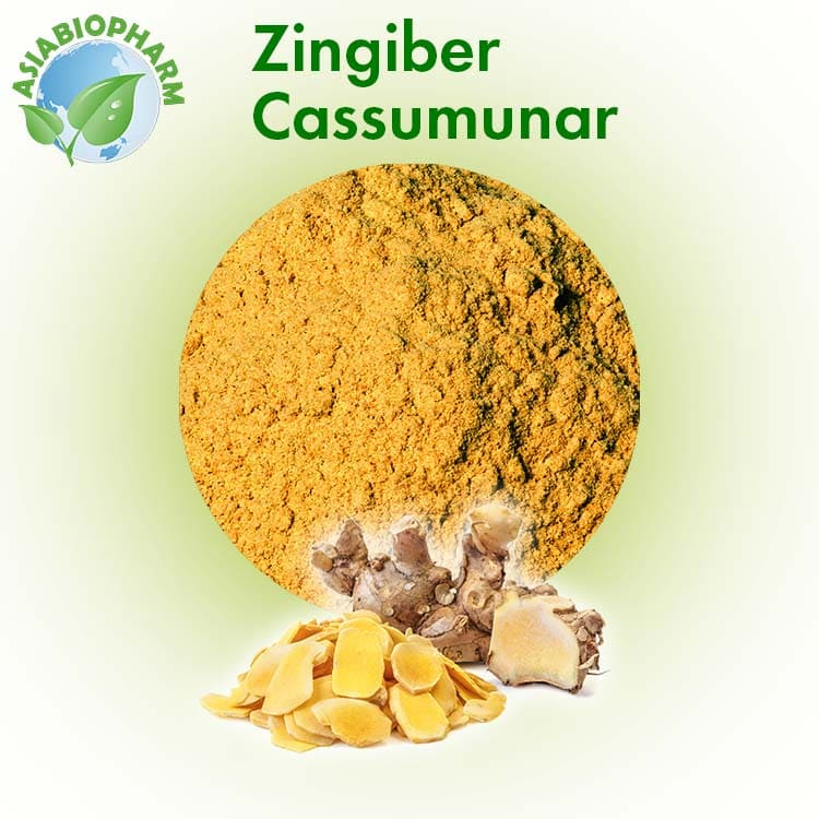 Zingiber Cassumunar powder 1kg Shopee Thailand