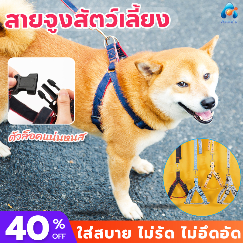 สายจูงสุนัข-ยาว120cm-ลายสุดน่ารัก-เชือกจูงสุนัข-harness-leash