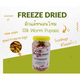 หนอนไหมอบฟรีซดราย Freeze Dried Silk Worm Pupaes สำหรับสัตว์กินแมลง ชูการ์ไกรเดอร์ เม่นแคระ กระรอก หนูแฮมสเตอร์ ทะเลทราย