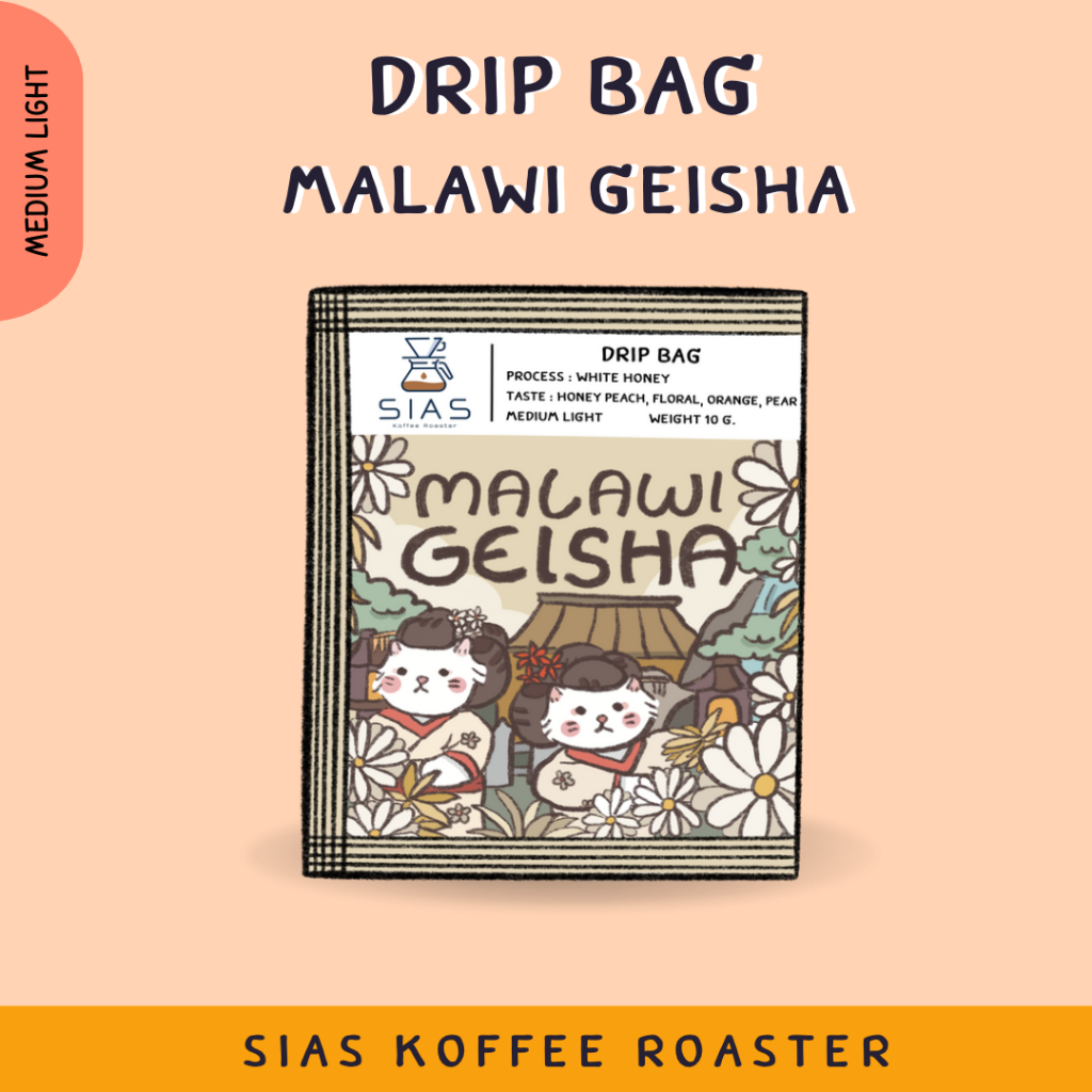 Malawi Chitipa Geisha Drip Coffee Bag | Shopee Thailand