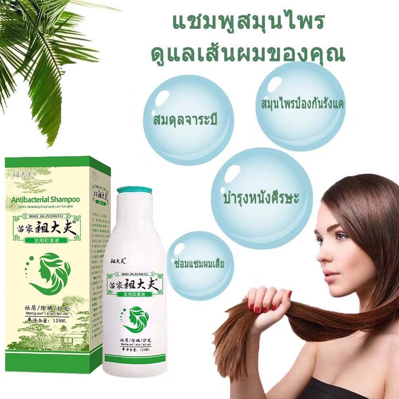 พร้อมส่ง-ของแท้-แชมพู-สมุนไพรจีน-zudaifu-แชมพูแก้คันหนังศรีษะ-ลดผมร่วง-เชื้อราบนหนังศรีษะ-ขจัดรังแค-กลาดเกลื่อน