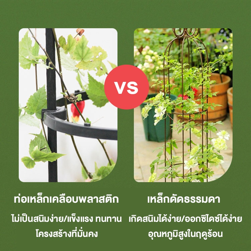 ซุ้มไม้เลื้อยสำเร็จรูป-lhn-ซุ้มกุหลาบ-เหล็กแข็งแรง-กันสนิม-ท่อเหล็กเคลือบ-pe-ส่วนสูง-115-145-175cm-โครงกุหลาบเลื้อย