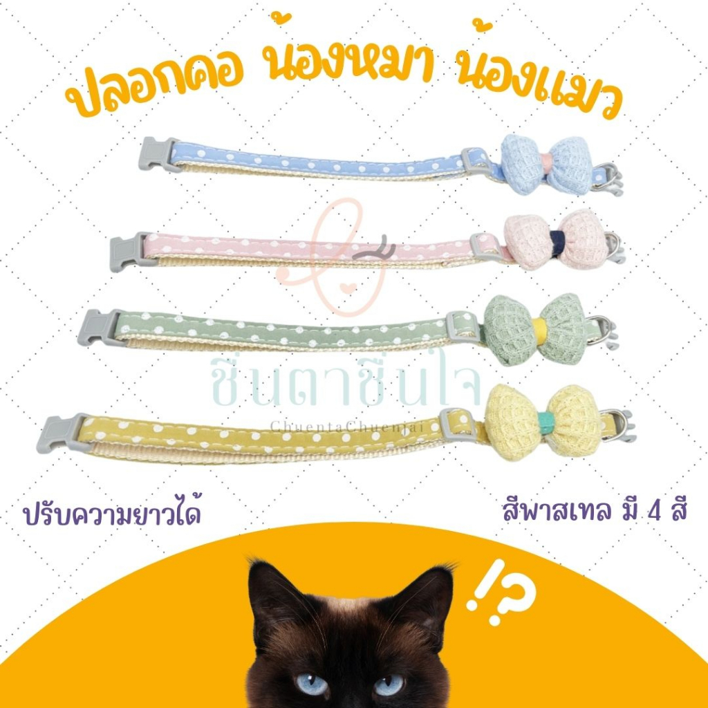 พร้อมส่ง-ปลอกคอหมา-ปลอกคอแมว-collar-คอลล่า-มีตัวล็อค-ปรับความยาวได้