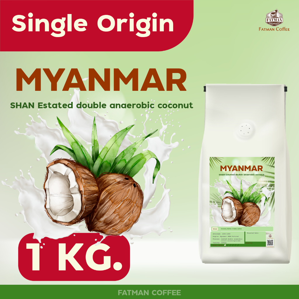 ราคาส่ง-1-3-kg-เมล็ดกาแฟ-myanmar-coconut