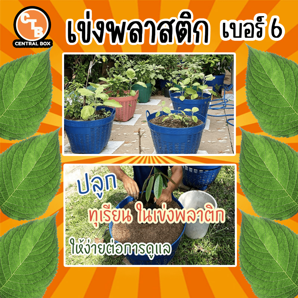 เข่งพลาสติก-เบอร์-6-เข่งใส่ของ-เข่งปลาทู-เข่งผัก