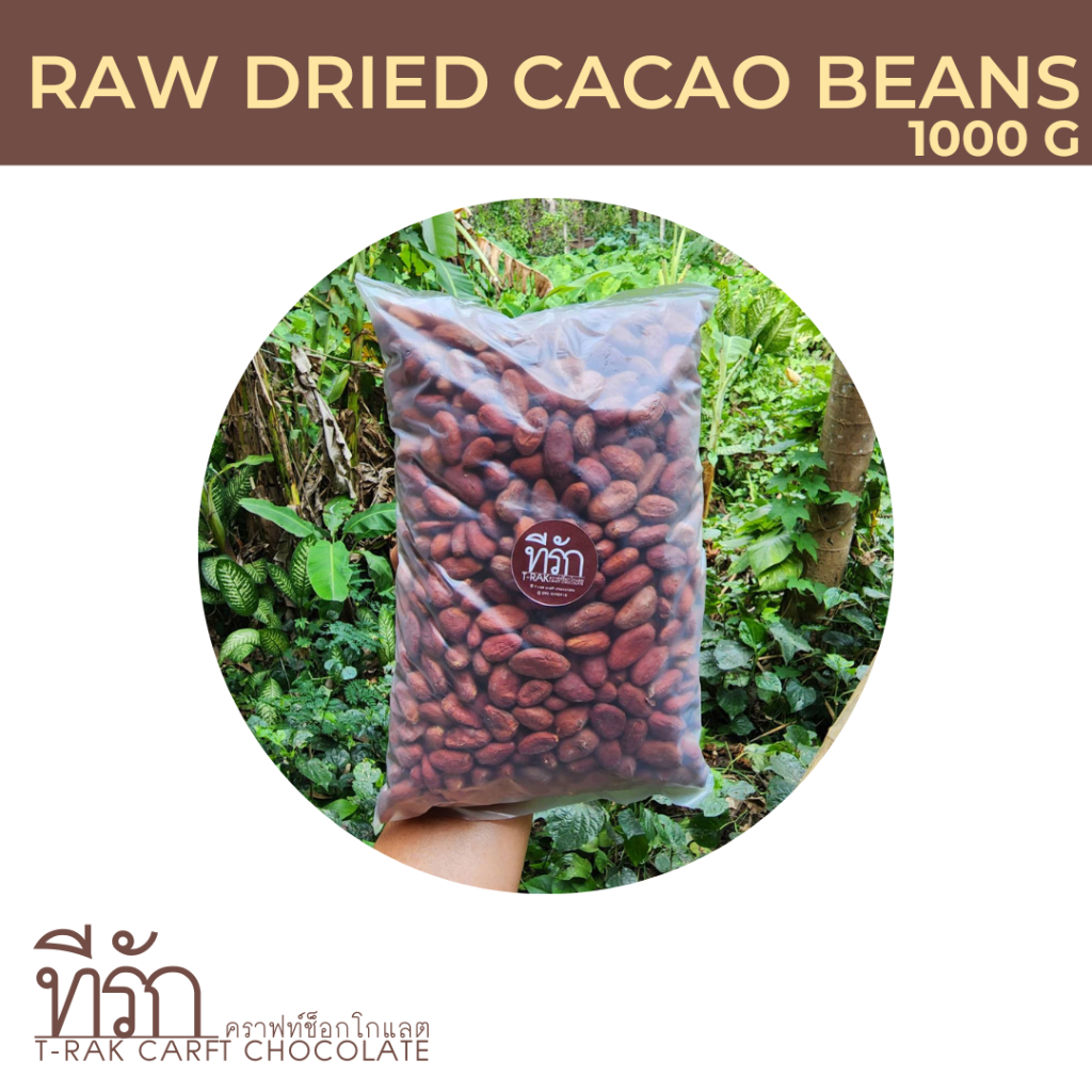 1-กิโลกรัม-เมล็ดโกโก้-raw-dried-cacao-beans-เมล็ดโกโก้แห้ง-เมล็ดโกโก้ดิบ