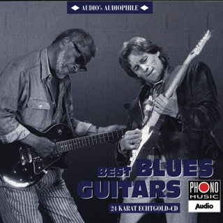 CD Audio คุณภาพสูง เพลงสากล Audios Audiophile Vol.6 - Best Blues Guitars (ทำจากไฟล์ FLAC คุณภาพเท่าต้นฉบับ 100%)