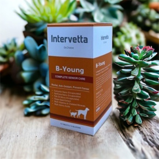 Dr.Choice B-Young Intervetta(แบ่งขาย) Exp.24/10/2023 อาหารเสริม บำรุง สุนัขสูงวัย แมวสูงวัย