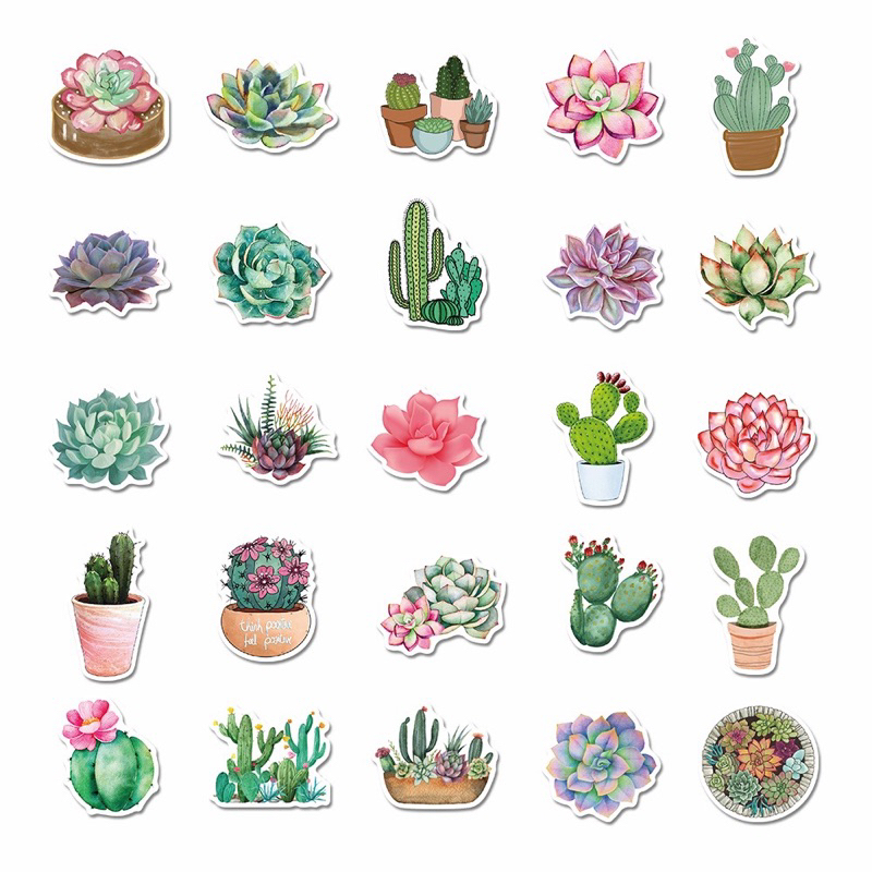 สติ๊กเกอร์-cactus-449-แคคตัส-50ชิ้น-กระบองเพชร-รูปภาพ-รูป-ต้นไม้-แต่งบ้าน-แต่งสวน-แคตัส-แคค-ตัส-ตก-แต่ง-สวน-บ้าน-ไม้