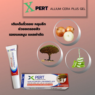 (Exp.08/01/2025) X PERT Scar Gel ลดรอยแผลเป็น สารสกัดจาก ต้นเลือดมังกร