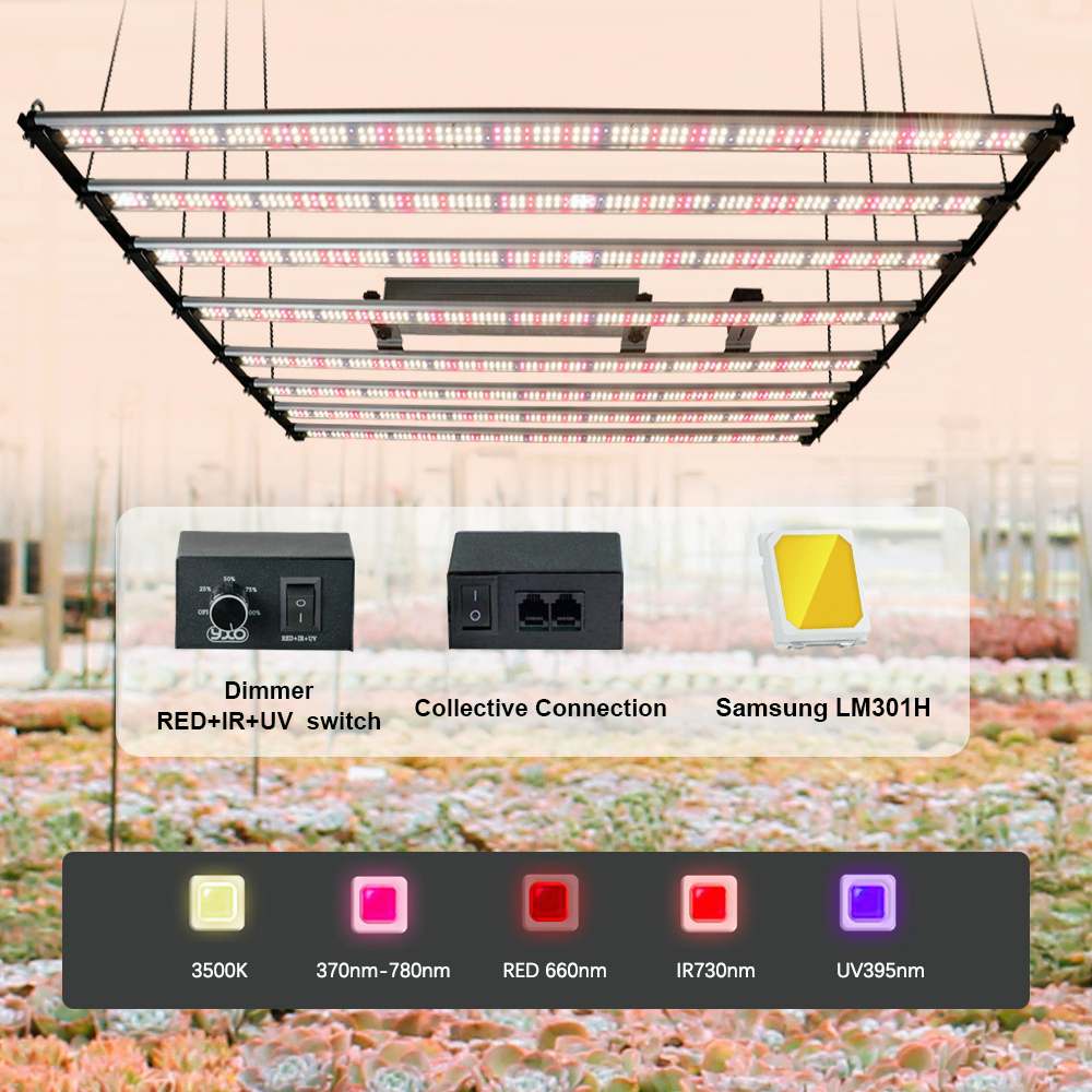 diy-1000w-samsung-lm301h-evo-v5-quantum-tech-led-grow-light-bar-meanwell-driver-sunlike-ปลูกโคมไฟสำหรับโรงงานในร่มเรือนก